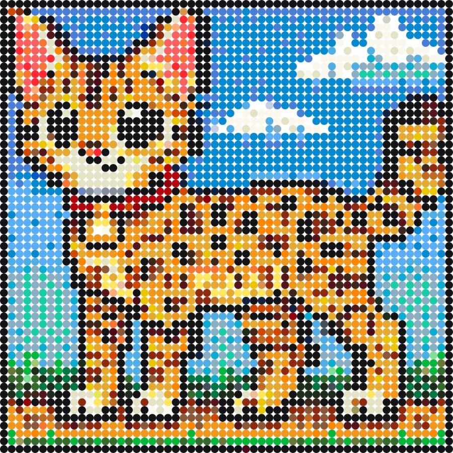 Savannah kat