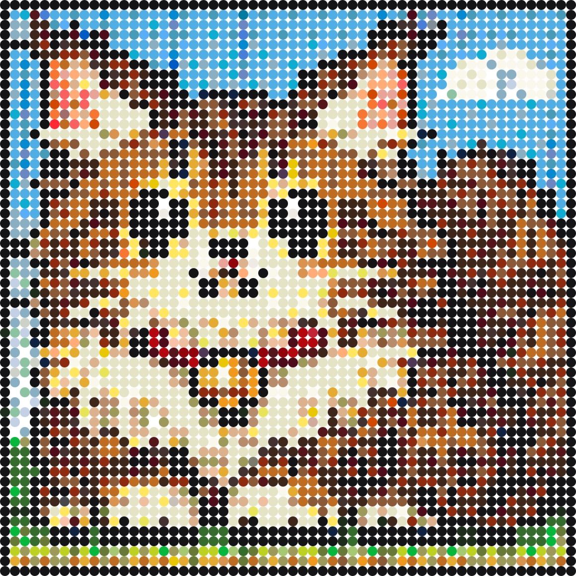 Maine Coon kat