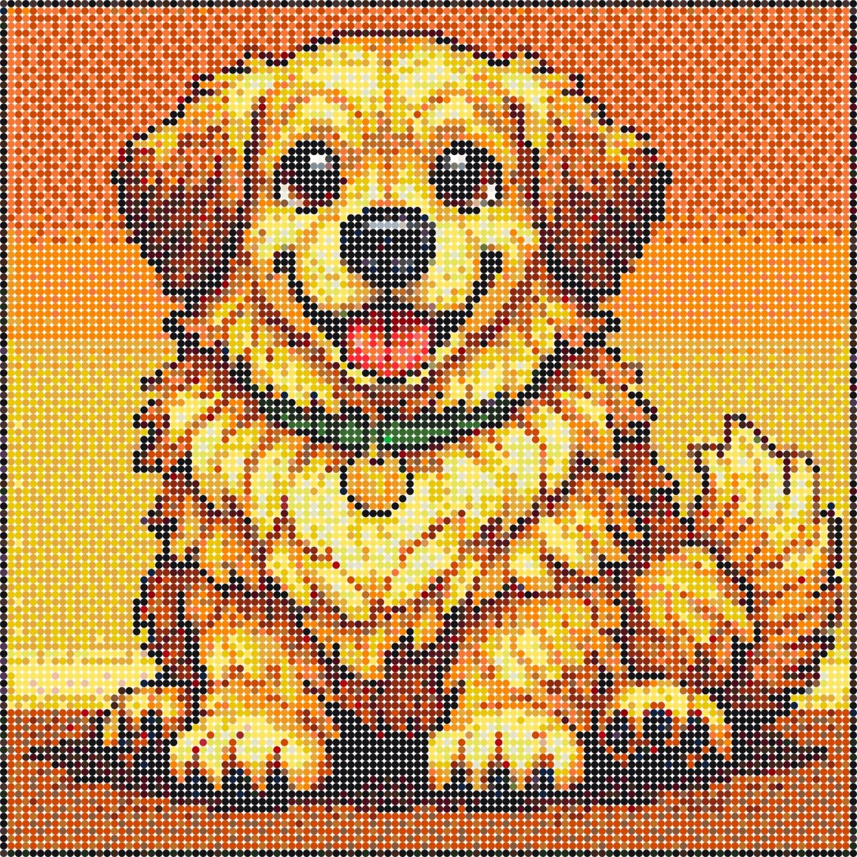 Golden retriever