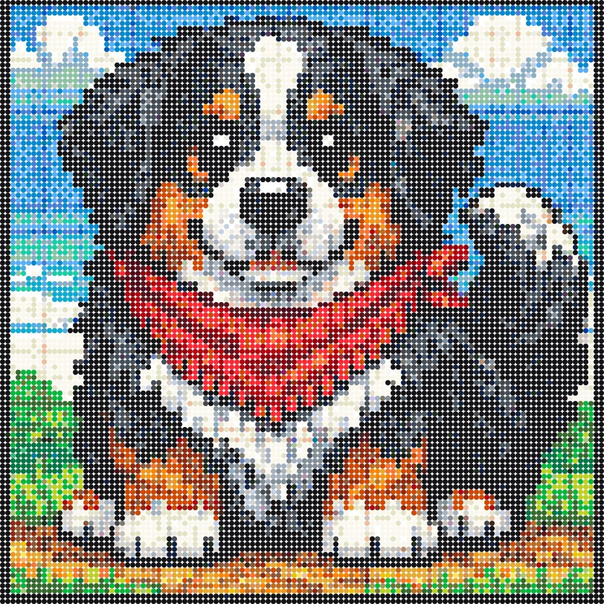 Berner sennenhund