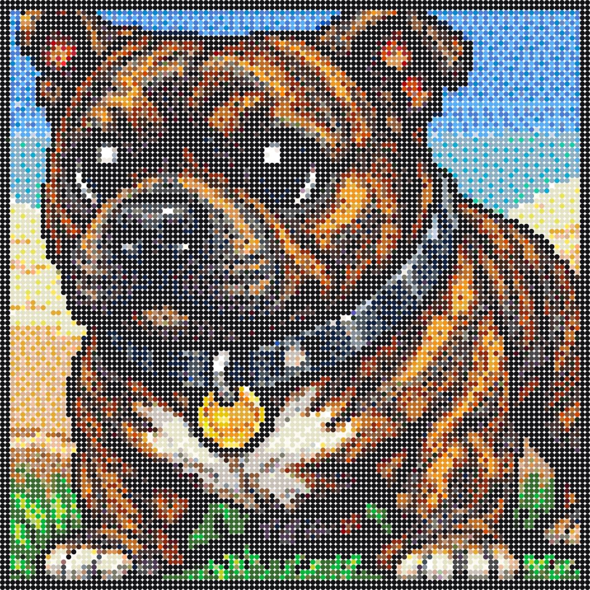Staffordshire bull terrier